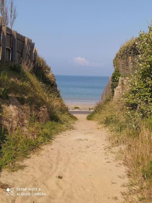La Chaloupe Gites De Mer 瑞卢维尔莱潘 外观 照片